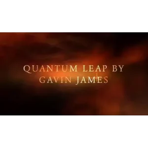 Quantum Leap by Gavin James