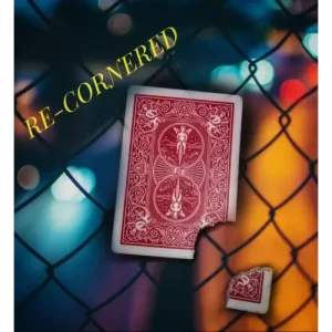 Re-Cornered by Omkar Varhadi