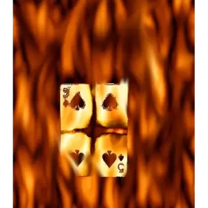 Rebirth by Tom Phoenix