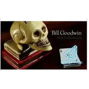 Reflections by Bill Goodwin