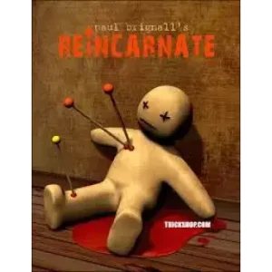 Reincarnate Book Test by Paul Brignall