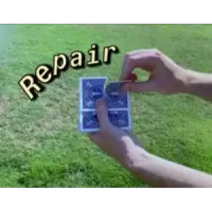 Repair by Thomas Sladky