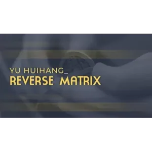 Reverse Matrix by Yu Huihang