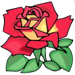 Roses For Her by Nubzmagic