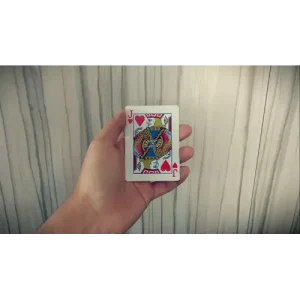 Rotational by Snake & Rick Piccone