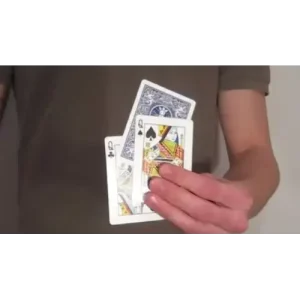 Sandwich Snap by Yvan Zmn