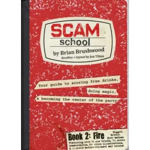 Scam School Book 2 Fire by Brian Brushood