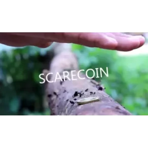 Scarecoin by Arnel Creations