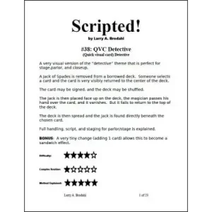 Scripted #38: Qvc Detective by Larry Brodahl
