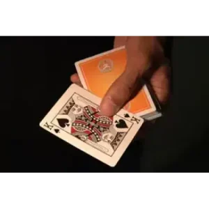 Sealed Change by Vivek Singhi