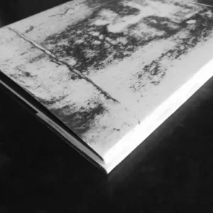 Second Coming by Ross Tayler & Fraser Parker