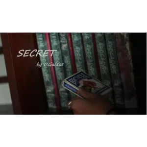 Secret by D.Galdot