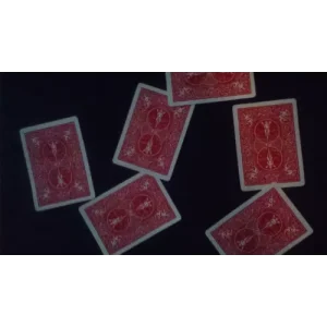 Separatism by Jesper Tseng