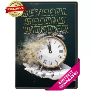 Several Second Wonder by Jack Tighe