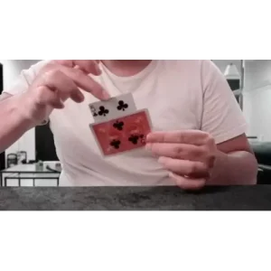 Shaded by Robby Constantine