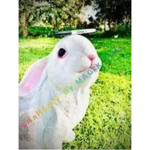 Sharspin by Magik Time