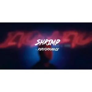 Shrimp by Zee J. Yan