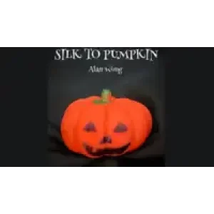 Silk To Pumpkin by Alan Wong