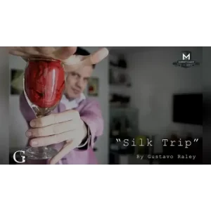 Silk Trip by Gustavo Raley