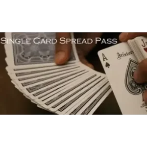 Single Card Spread Pass by Vivek Singhi
