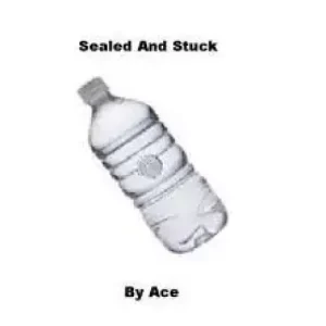 Slam (Sealed And Stuck) by Ace