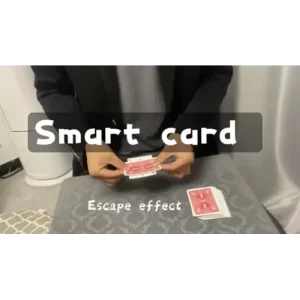 Smart Card by Dingding