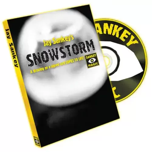 Snowstorm by Jay Sankey