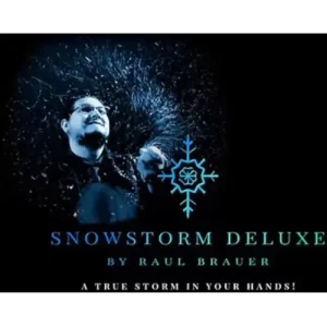 Snowstorm Deluxe by Raul Brauer