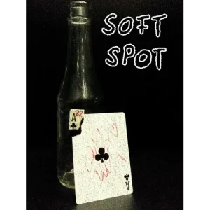 Soft Spot- Signed Corner In Glass Bottle by Ralf Rudolph