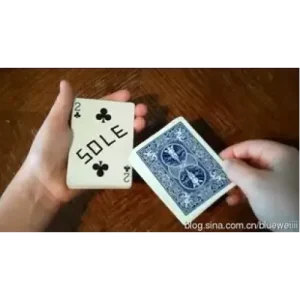 Sole by Benji Taylor