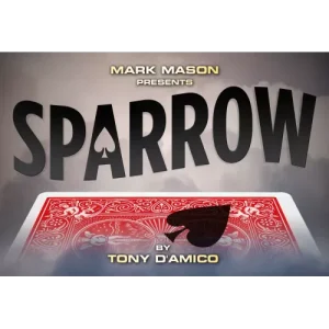 Sparrow by Tony D’Amico