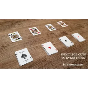 Spectator Cuts To Everything by Karttanadam