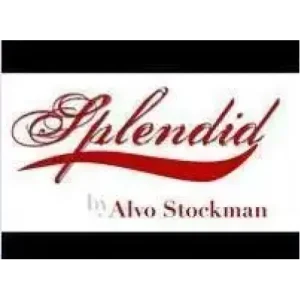Splendid by Alvo Stockman