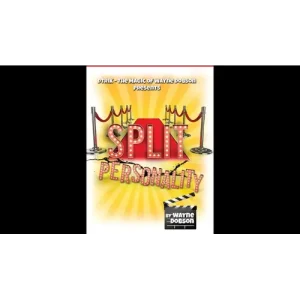 Split Personality by Wayne Dobson