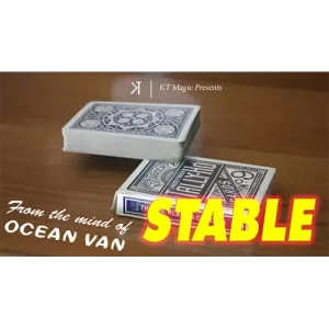 Stable by Ocean Van