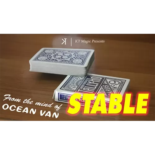 Stable by Ocean Van