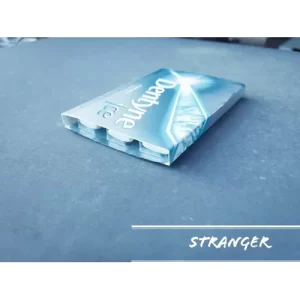 Stranger by Alfred Dockstader