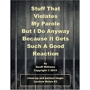 Stuff That Violates My Parole Notes by Geoff Williams