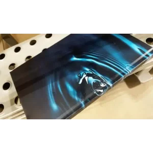 Sui Generis by Fraser Parker