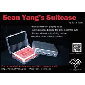 Suitcase by Sean Yang And Magic Soul