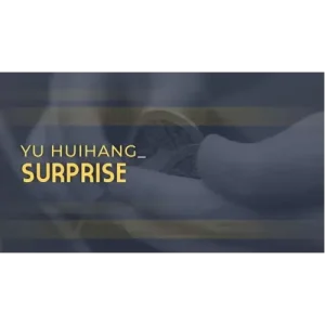 Surprise by Yu Huihang