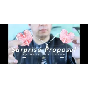 Surprise Proposal by Patricio Teran