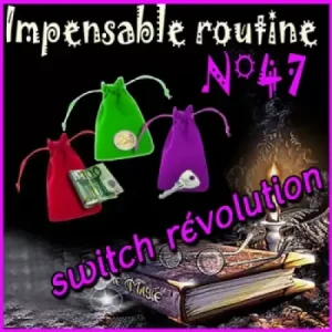 Switch Revolution (Impensable Raoutine N 47) by Lepetitmagicien
