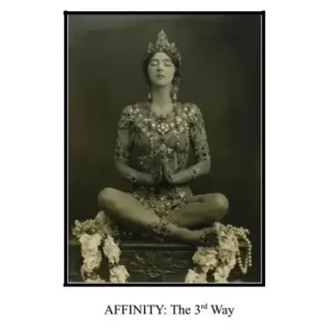 The 3Rd Way by Paul Voodini