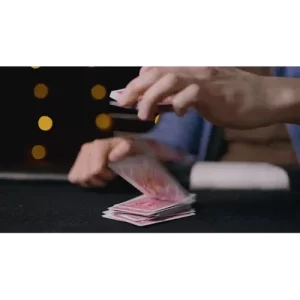 The Art Of Magic：Perform Impromptu Magic Tricks With Playing Cards by Tim Domsky