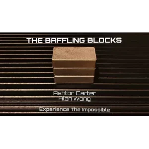 The Baffling Blocks by Alan Wong And Ashton Carter