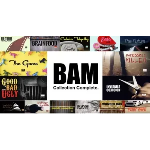 The Bam Collection (Videos+Pdf) by Bill Abbott