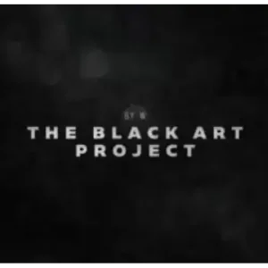 The Black Art Project by Will Tsai