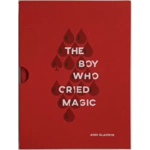 The Boy Who Cried Magic by Andi Gladwin