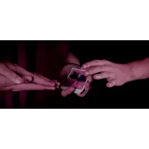 The Butterfly by Dominic Oesch